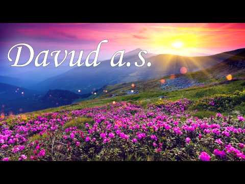 DAVUD A.S. | Kazivanje o vjerovjesnicima