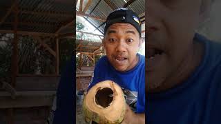 Download lagu lasak #funny #trending  #comedy #humor #reaction #funnyvideos #subscribe #like #shorts #cute #lucu mp3