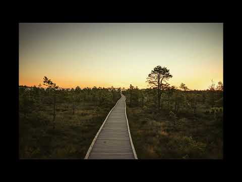 Westseven feat. Darren Ashley - Feeling (Slowed & 432Hz)