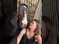 JHONNY DU THAR – Hongre SF – 7 ans – 1,73 m