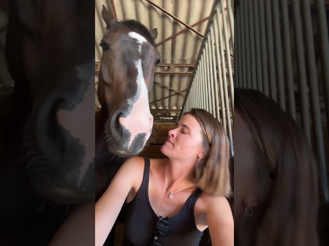 JHONNY DU THAR &ndash; Hongre SF &ndash; 7 ans &ndash; 1,73 m