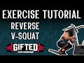 Exercise Tutorial - Reverse V-Squat