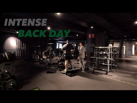 BACK WORKOUT - ep 120
