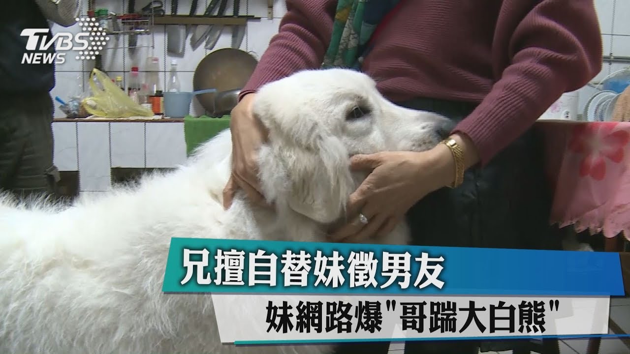 兄擅自替妹徵男友 妹網路爆「哥踹大白熊」