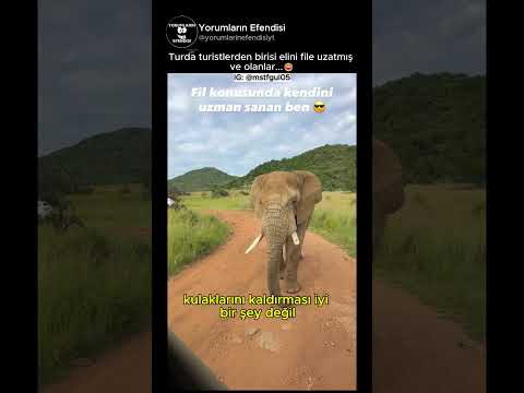 Elinizi file uzatırsanız ne olur😂 @mstfgul05