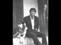 Townes Van Zandt - The Velvet Voices
