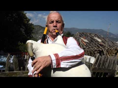 Vidanka Gorgievska, Porecje porti otvora