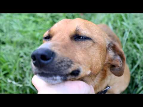 Nataszka686’s Video 116115126156 aqY1_SLsXw0