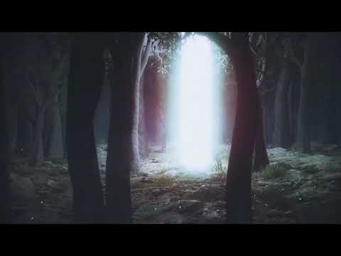 Stonyx Digital Festival 2020 | Fortunate