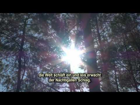 Nehmt Abschied, Brüder - zum Mitsingen