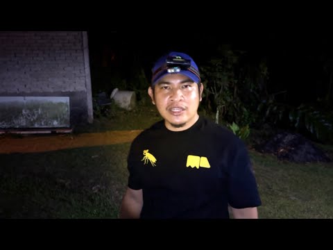 Masalah Tikus Dah Jadi Isu Personal