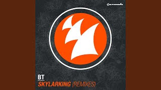 Skylarking (Maor Levi Remix)