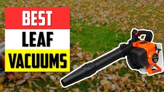 Top 4 Leaf Vacuums in 2026👌
