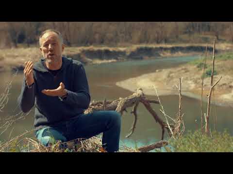 Canalde Youtube de Albert Bosch