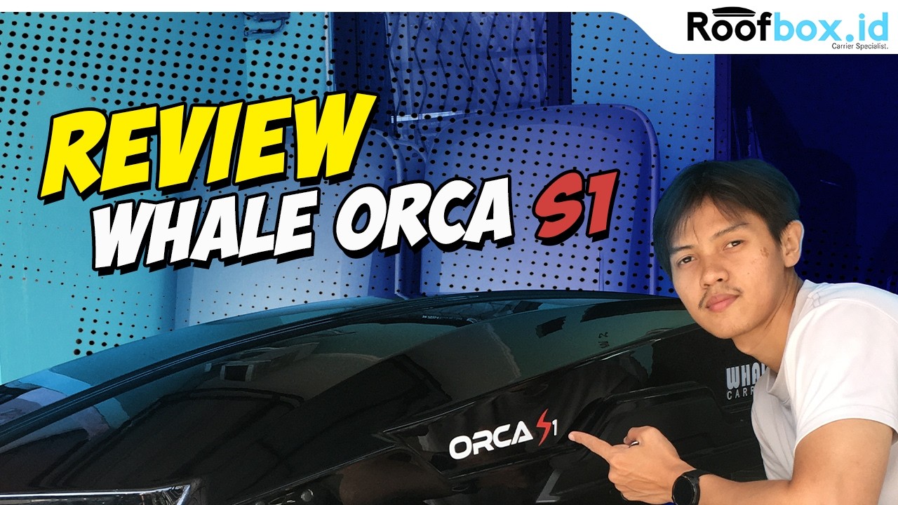 Review Whale Orca S1 - 650 Liter (Whale Carrier) By roofbox.id