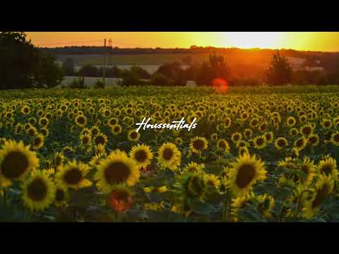 Franky Wah x AR/CO - Under The Sun (SHÈN Sunset Mix)