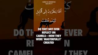 Download lagu Surah Al-Ghashiyah (Quran 88: 17-26) #viral #quran #shorts #quranrecitation mp3 Download lagu Surah Al-Ghashiyah (Quran 88: 17-26) #viral #quran #shorts #quranrecitation mp3