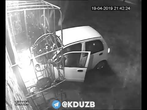 uzb Qiz am