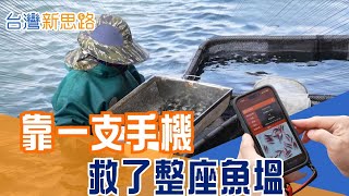 不用千萬設備！一支手機讓「經驗」變「數據」AI 演算法救活台灣養殖王國，直擊水下革命！老師傅正在消失科技能不能替台灣記住？最不起眼的角落，正在寫下進化…│【台灣新思路】20260107│三立iNEWS