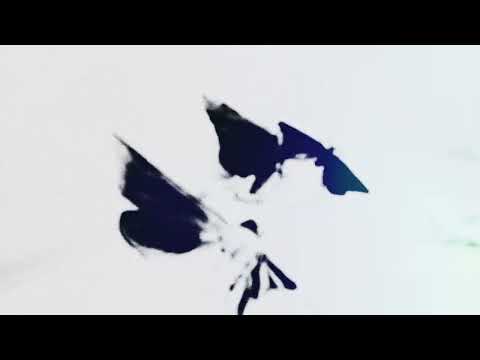 The WAEVE - Moth To The Flame (Official Visualiser)