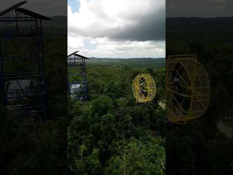 Faça um passeio selvagem nas Filipinas no Danao Adventure Park #bohol