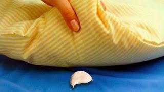 Why You Should Sleep With Garlic Under Your Pillow