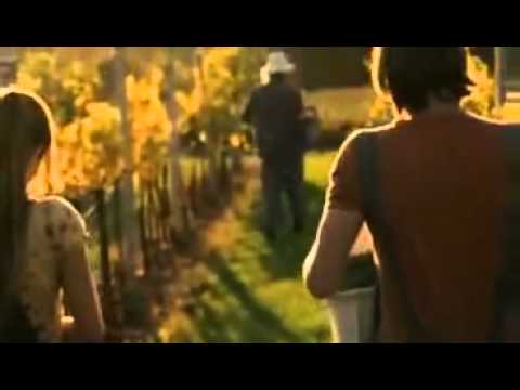 Vidéos de Bobule (2008) - SensCritique