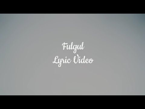 DJ Project x Holy Molly - Fulgul (Lyric Video) #freshtracks #lyrics