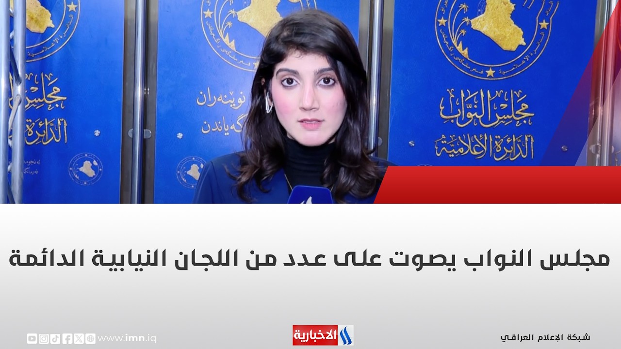 فيديو | مجلس النواب يصوت على عدد من اللجان النيابية الدائمة