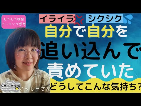 こっしーさん