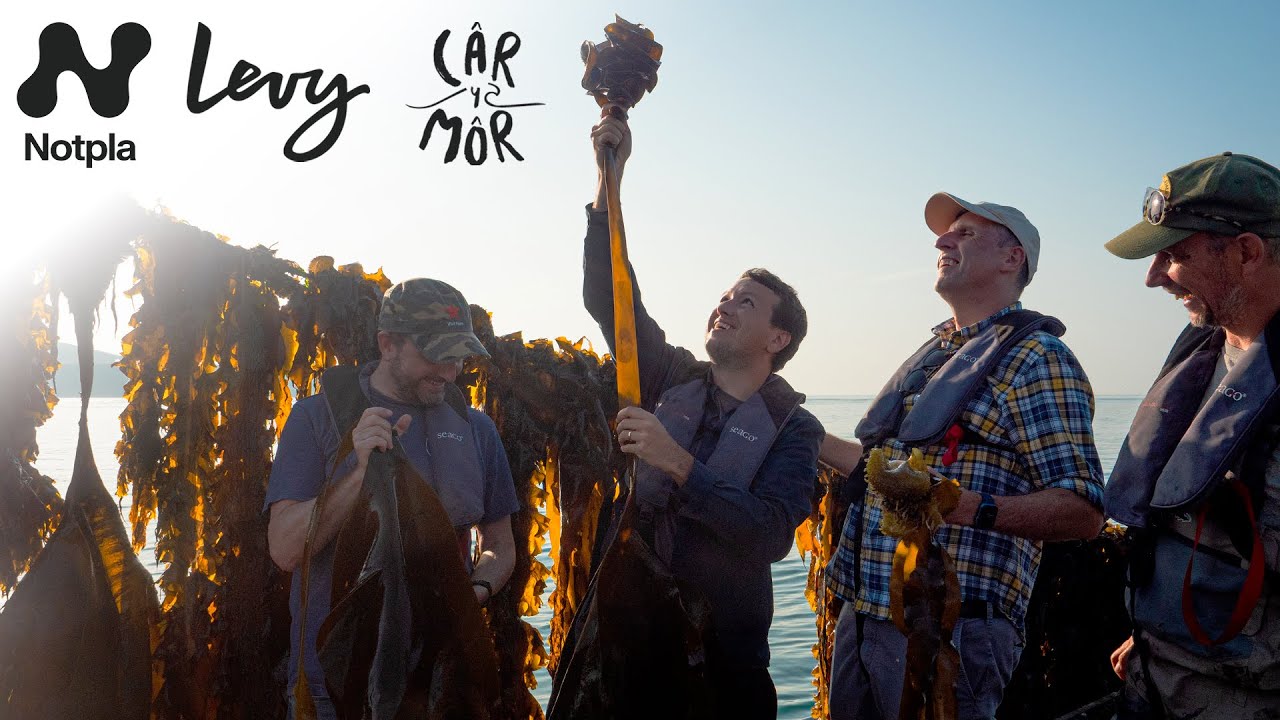 Exploring the future of seaweed with Levy at Car-Y-Mor