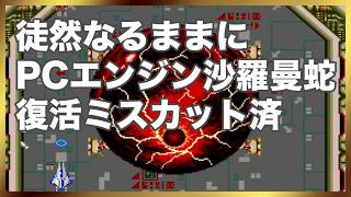 PCエンジン版沙羅曼蛇を徒然なるままにプレイ 実機プレイ
