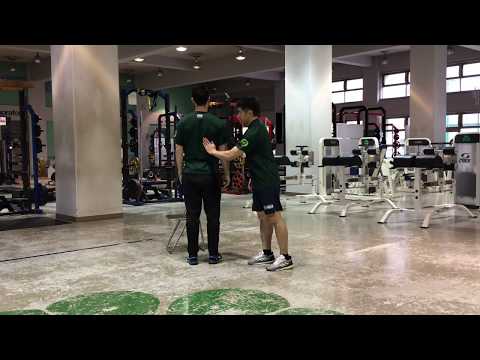体育学科 ベントオーバーシリーズ