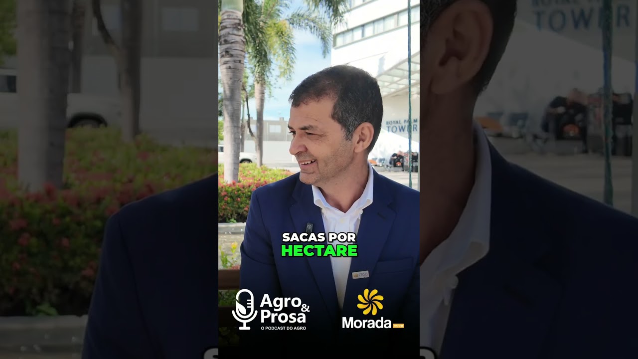 Invista Mais, Produza Mais? Desvendando o ROI! #shorts