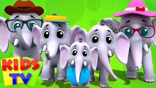 Elephant Finger Family  3D  Kindergarten Nursery R