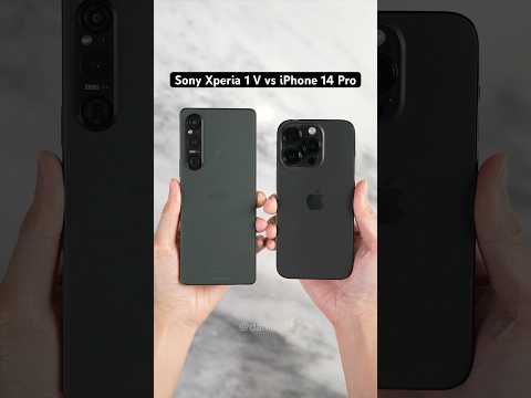 Sony Xperia 1 V vs iPhone 14 Pro Camera Comparison!