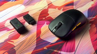 I waited a year for this mouse