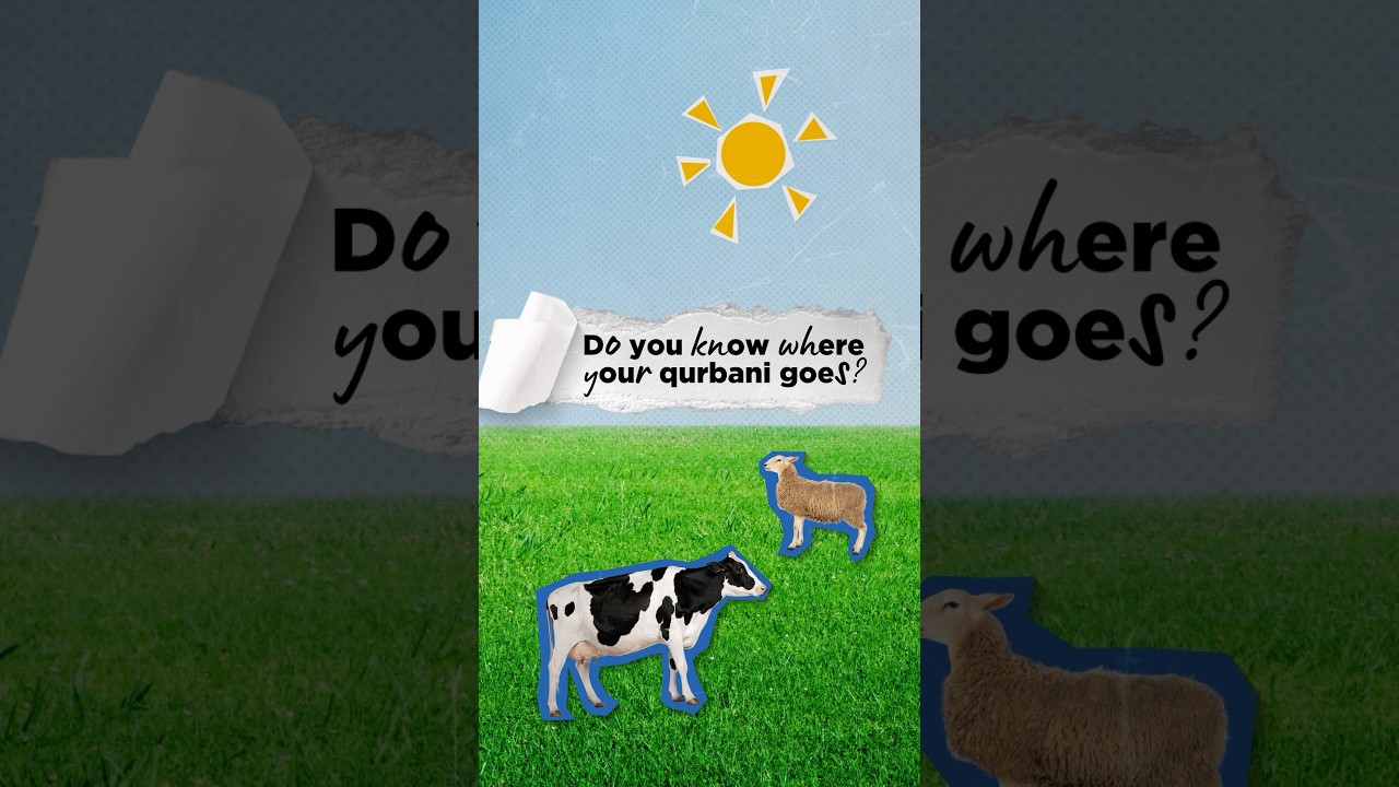 Where your qurbani REALLY goes… ✨ #qurbani #charity #singapore #eid #donate #education