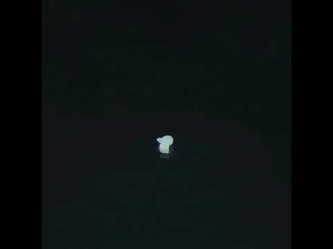 YouTube 썸네일