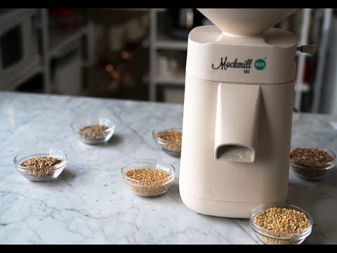 download lagu mp3 mp4 Grinding Teff Into Flour, download lagu Grinding Teff Into Flour gratis, unduh video klip Grinding Teff Into Flour
