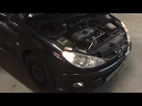 Peugeot 206 Kaufberatung Probleme/Stärken