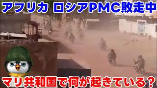 【ペンギン閣下】マリ共和国、ロシアPMC「アフリカ軍団」敗走中【ウクライナ情勢】