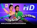 Parakum Parvai Full Movie MGR Super Hit Film பறக்கும் பாவை
