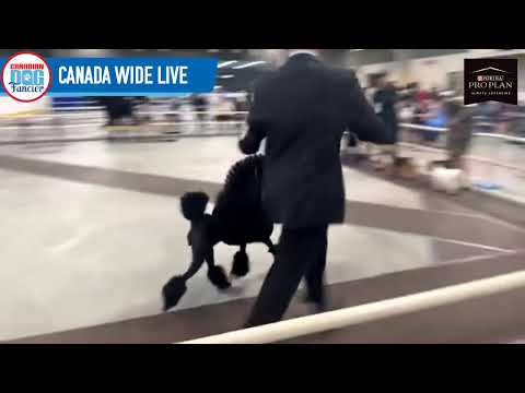 Fort St. John - Michael Lanctot