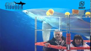 DIA 2 Expo Tiburon165