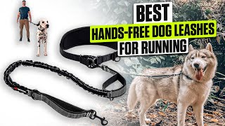 3 BEST Hands-Free Dog Leashes for Running