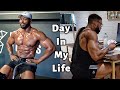 A DAY IN MY LIFE | Gym workout, what i eat in a day & Work