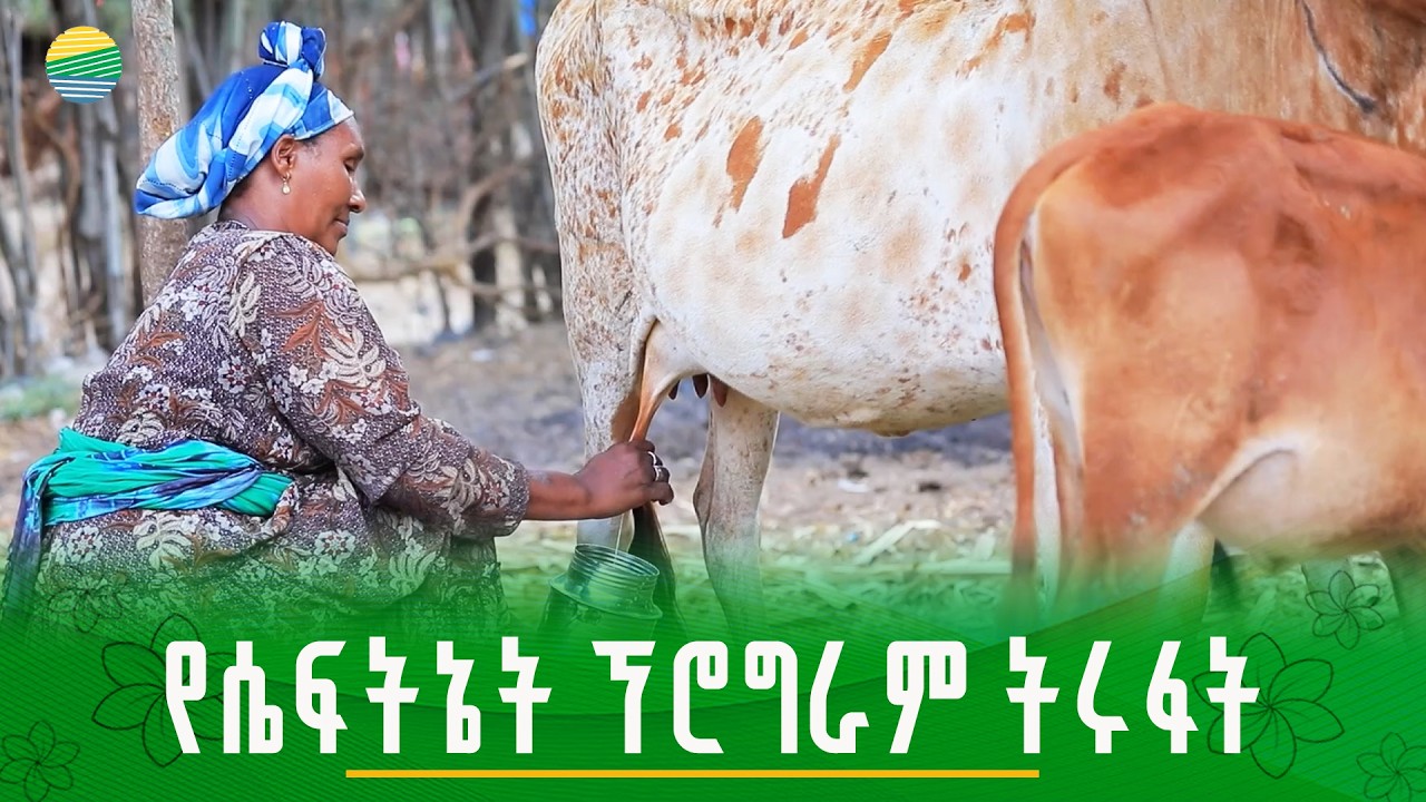 የገጠር ልማታዊ ሴፍትኔት ኘሮግራም ትሩፋት!