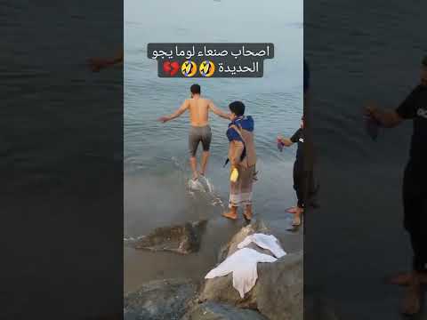 ١٥ نوفمبر ٢٠٢٢