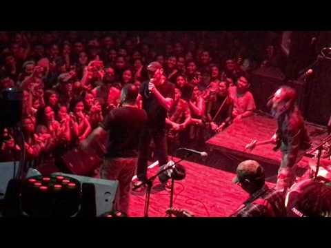 The Return of Vinci and the legendary Picha Pie!!!!